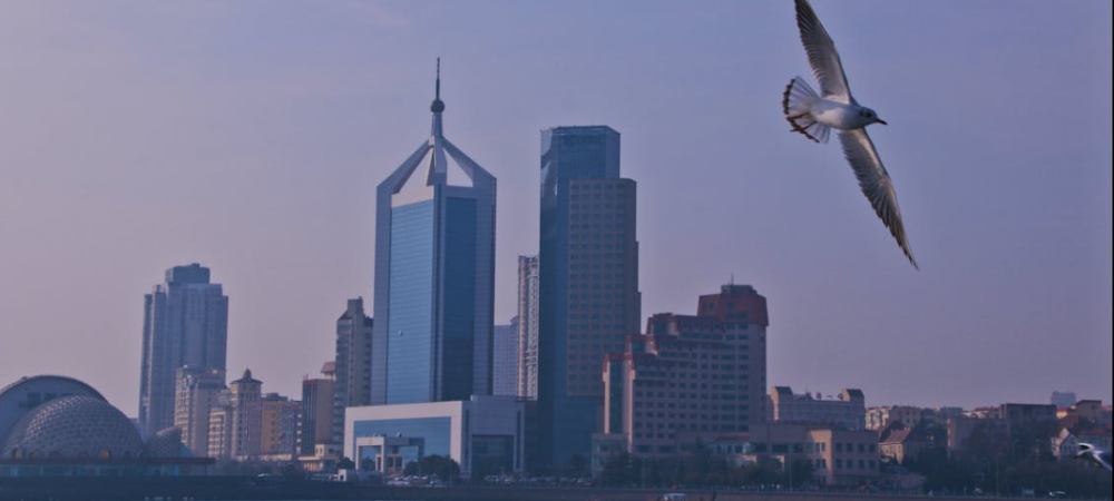 青岛招聘外教那么多的原因？ - 聘外网