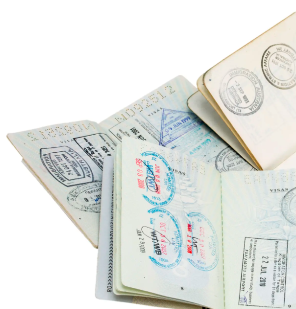 外籍人才签证挂靠公司名下，好处多多！-聘外网