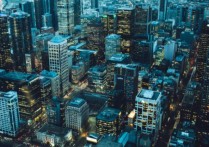 为什么有那么多外国人在杭州发展？