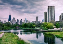 外国人聚集在大城市的原因有哪些？