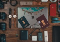 以学校名义申请外教工作签证是不是更好？