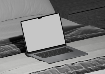 外教签证难题应该如何破解？