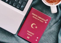 深度解析外国人赴华旅行的不同中国签证类型