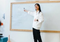 学校对外籍教师签证审查的重要性