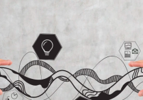 工签转聘外教：为何他们成为学校的“香饽饽”？